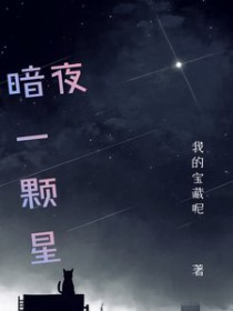 暗夜一颗星