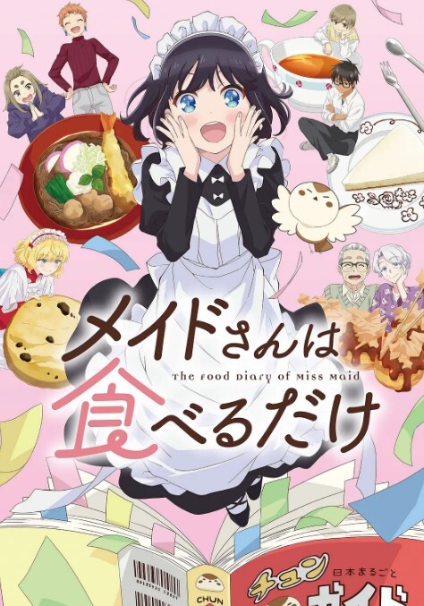 母子乱伦广安极品大奶老阿姨-HD - AV解说