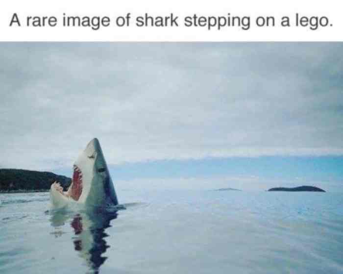 Don't step on the LEGO